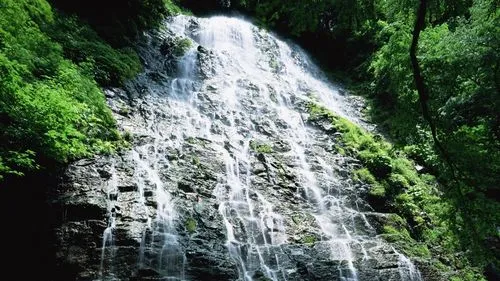 高标准稳定性全自动